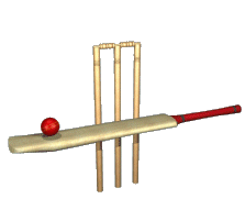 Cricket bat, ball & stumps
