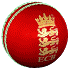 Cricket ball