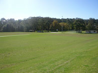 Alan Davidson Oval