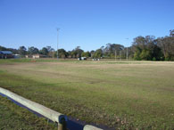 Carrington Street Oval
